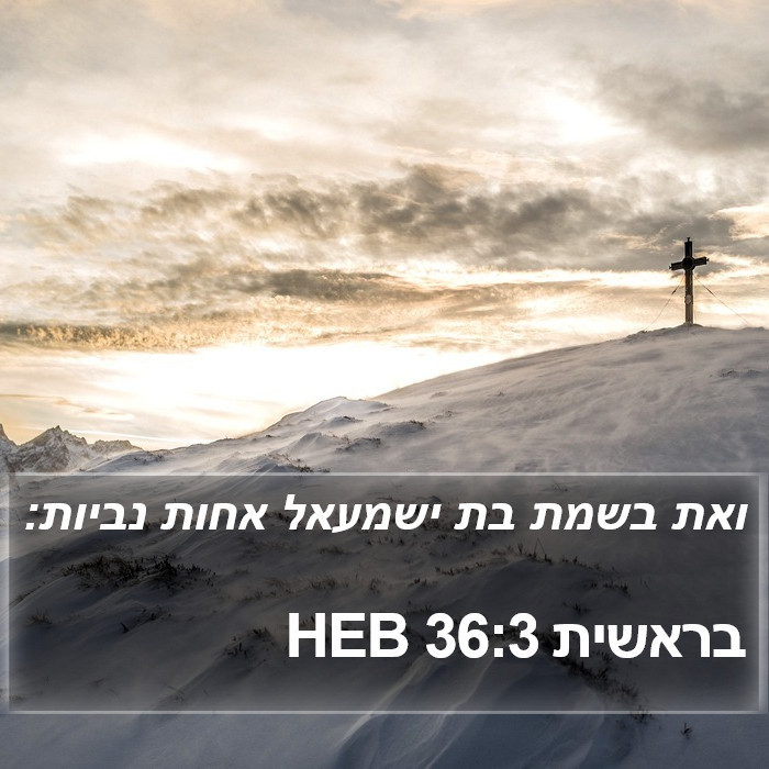 בראשית 36:3 HEB Bible Study