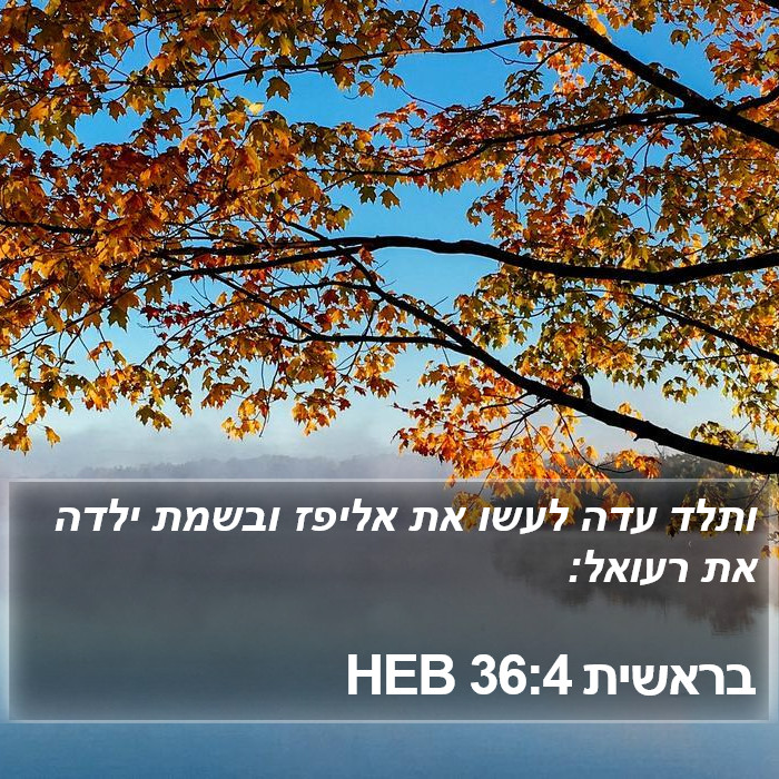 בראשית 36:4 HEB Bible Study