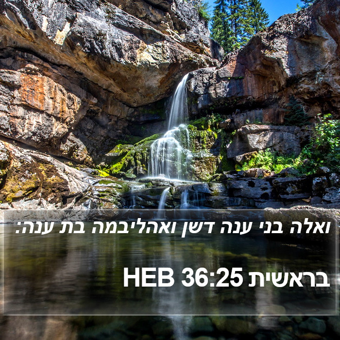 בראשית 36:25 HEB Bible Study