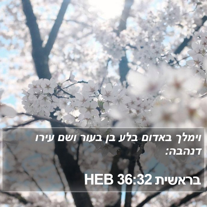 בראשית 36:32 HEB Bible Study