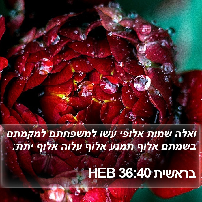 בראשית 36:40 HEB Bible Study