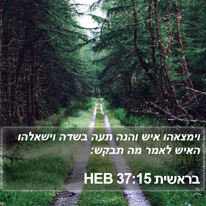 בראשית 37:15 HEB Bible Study