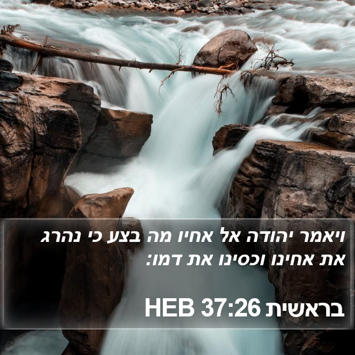 בראשית 37:26 HEB Bible Study