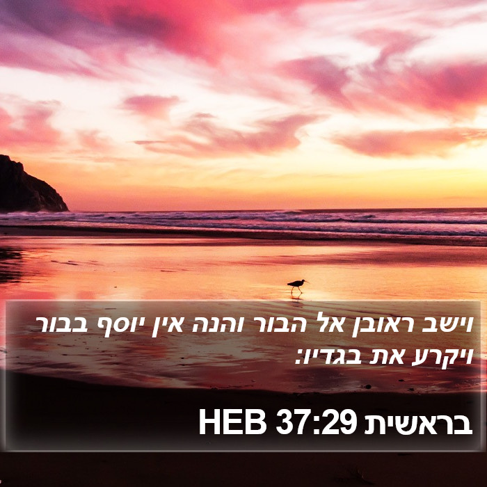 בראשית 37:29 HEB Bible Study