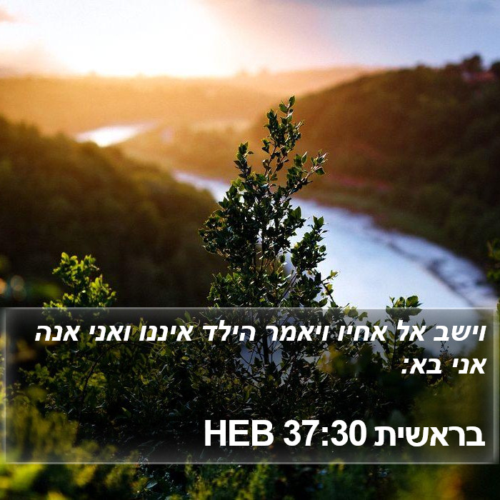 בראשית 37:30 HEB Bible Study