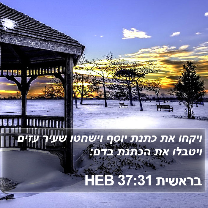 בראשית 37:31 HEB Bible Study