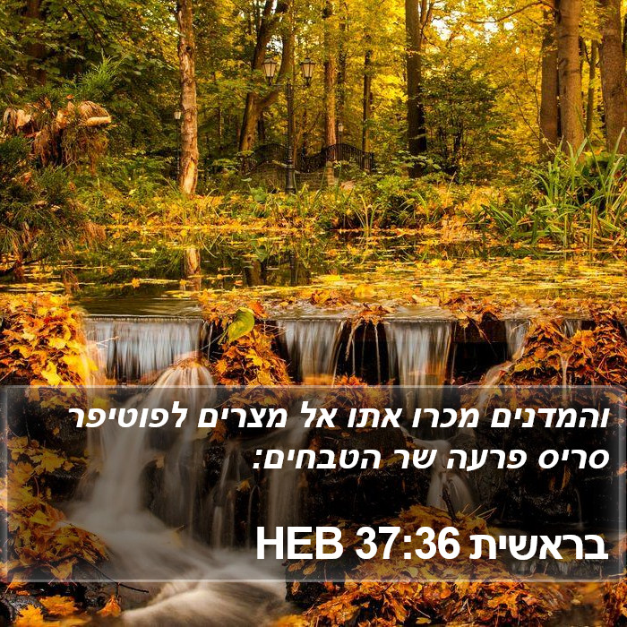 בראשית 37:36 HEB Bible Study