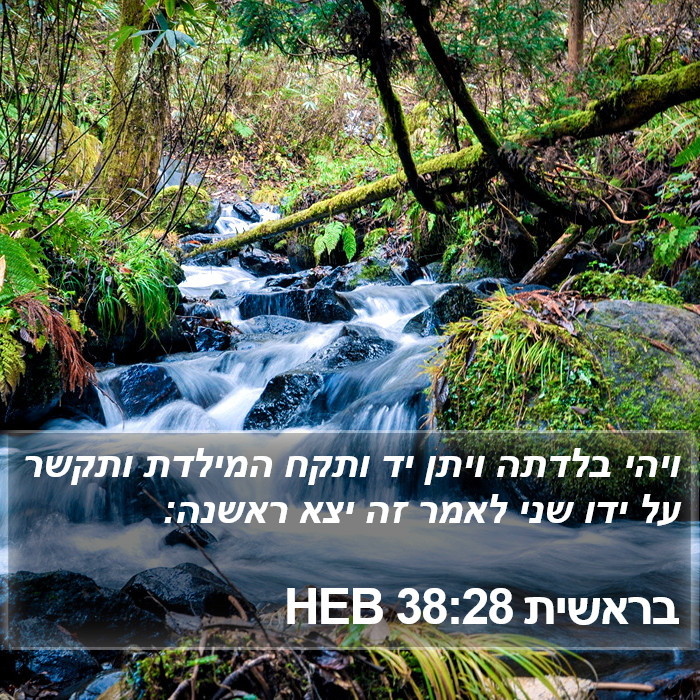 בראשית 38:28 HEB Bible Study