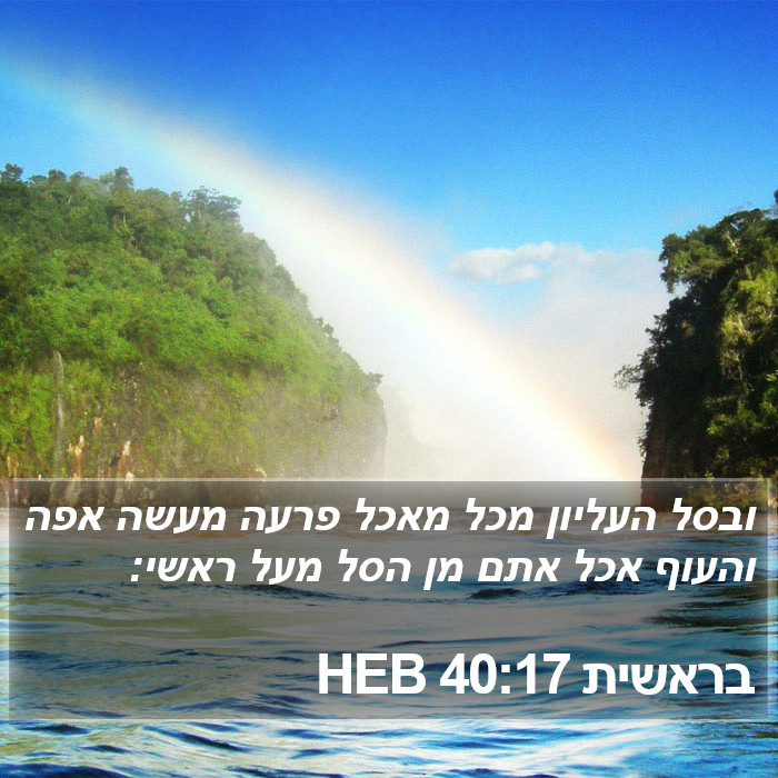 בראשית 40:17 HEB Bible Study