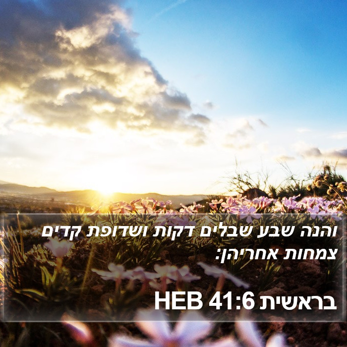 בראשית 41:6 HEB Bible Study