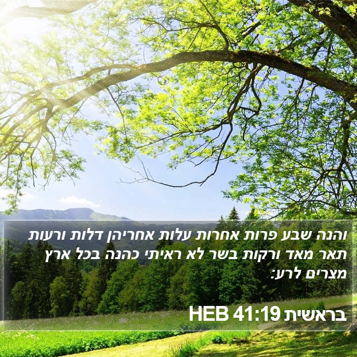 בראשית 41:19 HEB Bible Study