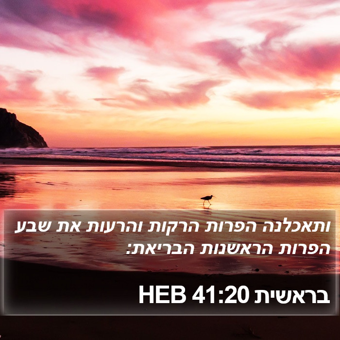 בראשית 41:20 HEB Bible Study