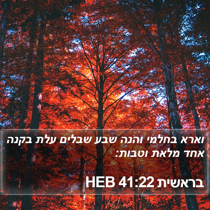 בראשית 41:22 HEB Bible Study