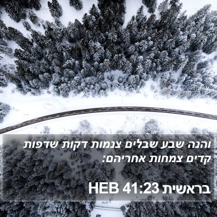 בראשית 41:23 HEB Bible Study