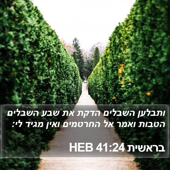 בראשית 41:24 HEB Bible Study