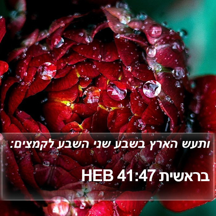 בראשית 41:47 HEB Bible Study