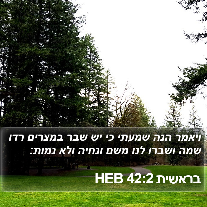 בראשית 42:2 HEB Bible Study