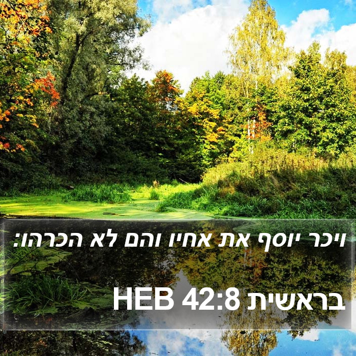 בראשית 42:8 HEB Bible Study