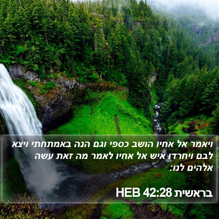 בראשית 42:28 HEB Bible Study