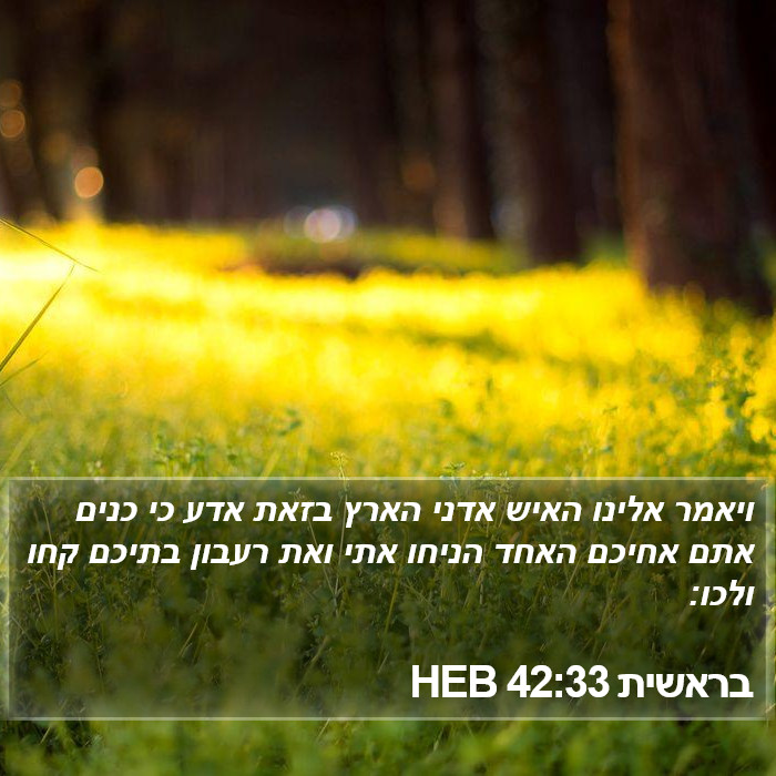 בראשית 42:33 HEB Bible Study