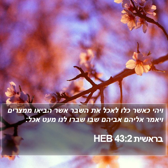 בראשית 43:2 HEB Bible Study