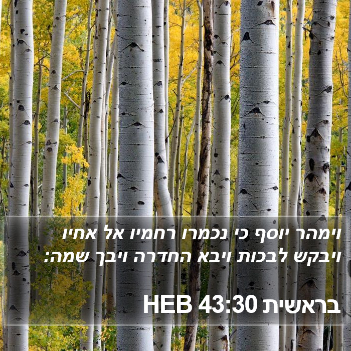 בראשית 43:30 HEB Bible Study