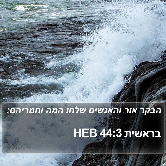 בראשית 44:3 HEB Bible Study