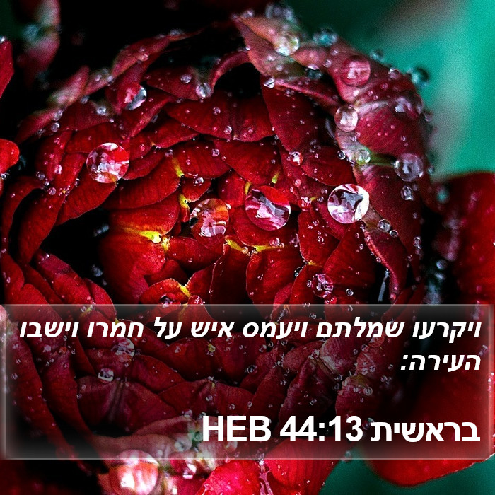 בראשית 44:13 HEB Bible Study