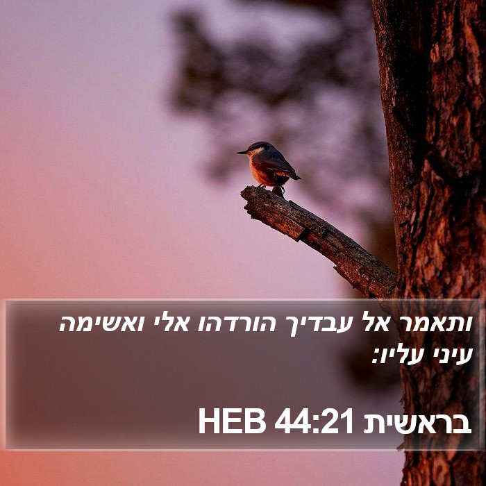 בראשית 44:21 HEB Bible Study