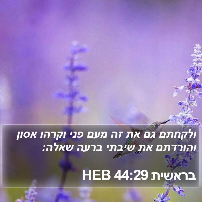 בראשית 44:29 HEB Bible Study