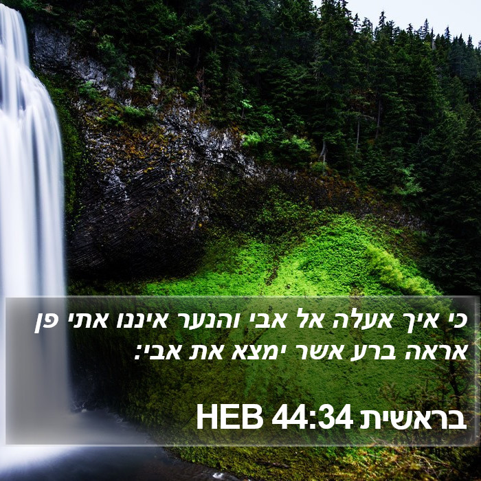 בראשית 44:34 HEB Bible Study