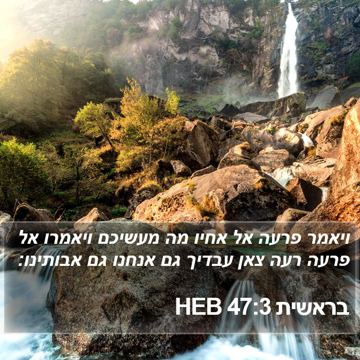 בראשית 47:3 HEB Bible Study