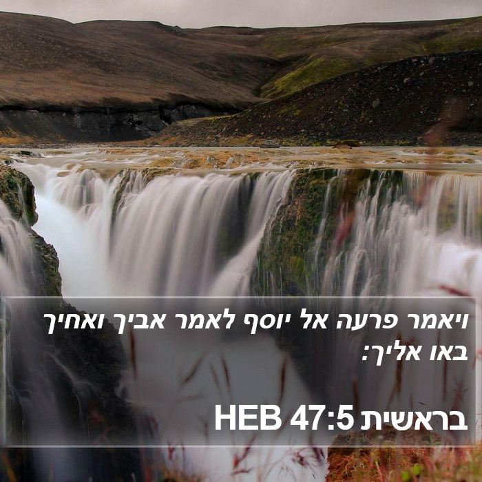 בראשית 47:5 HEB Bible Study