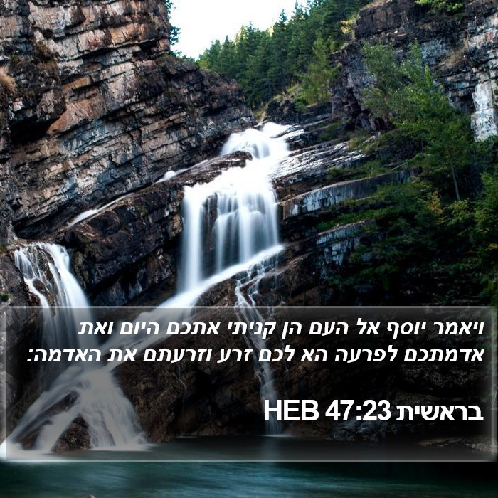 בראשית 47:23 HEB Bible Study