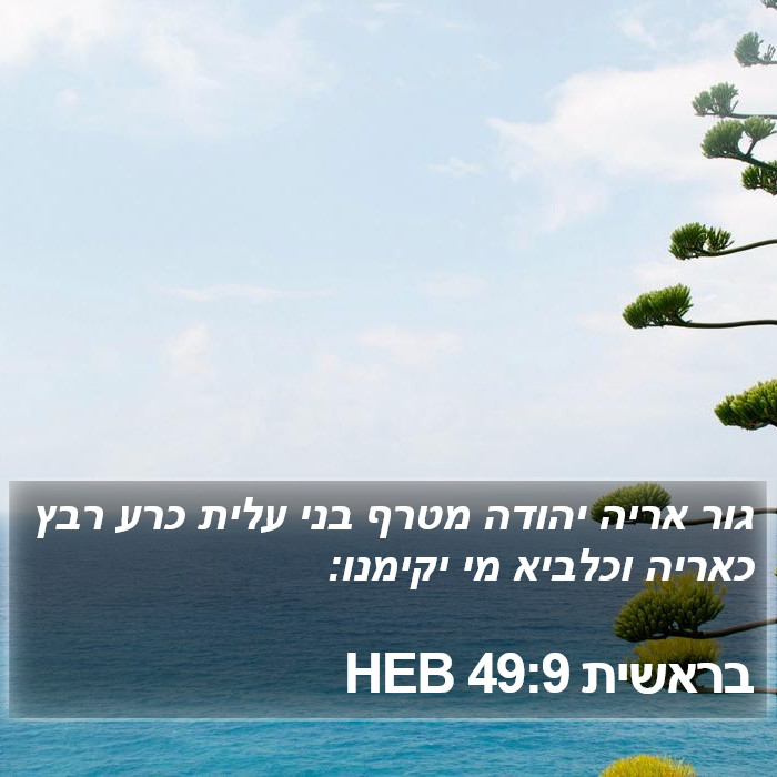 בראשית 49:9 HEB Bible Study