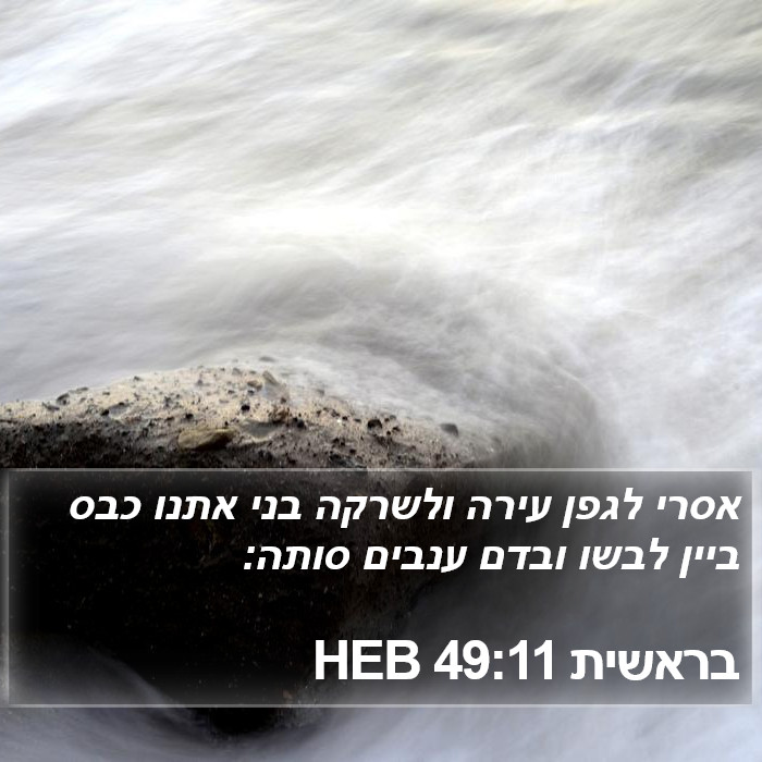 בראשית 49:11 HEB Bible Study