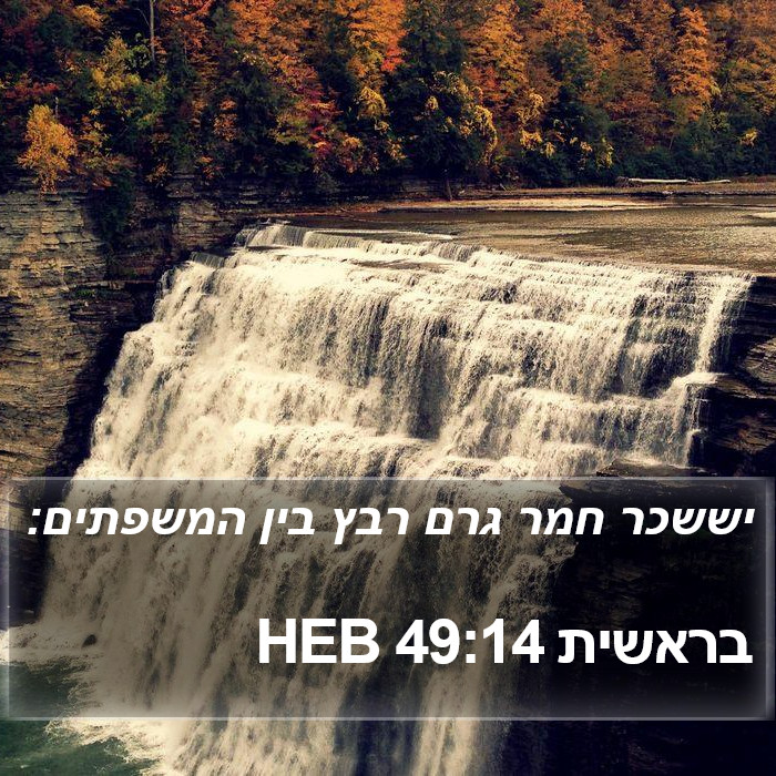 בראשית 49:14 HEB Bible Study