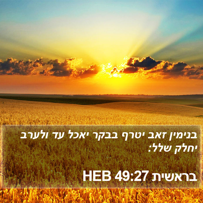 בראשית 49:27 HEB Bible Study