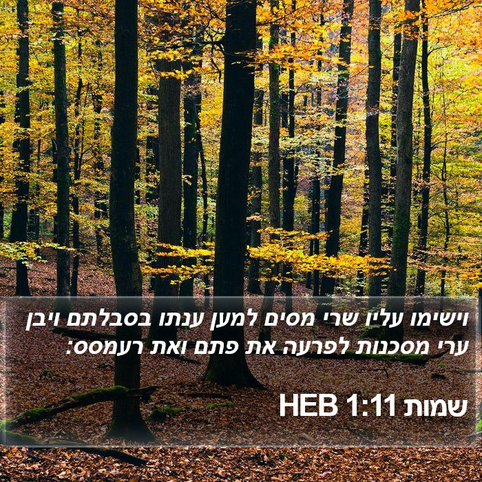 שמות 1:11 HEB Bible Study