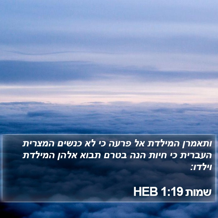 שמות 1:19 HEB Bible Study