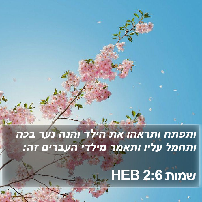 שמות 2:6 HEB Bible Study