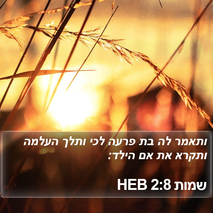 שמות 2:8 HEB Bible Study