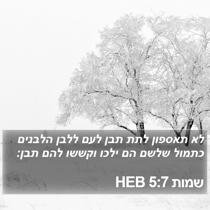 שמות 5:7 HEB Bible Study