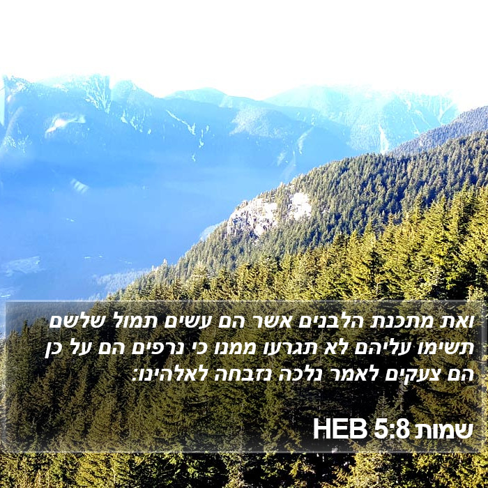 שמות 5:8 HEB Bible Study