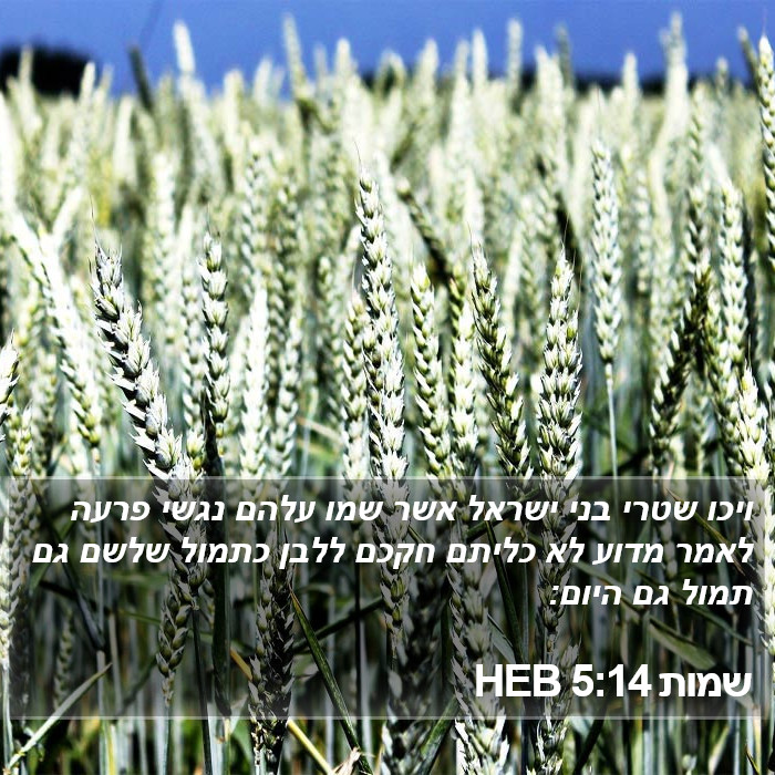 שמות 5:14 HEB Bible Study