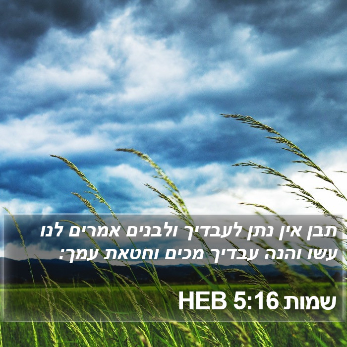 שמות 5:16 HEB Bible Study