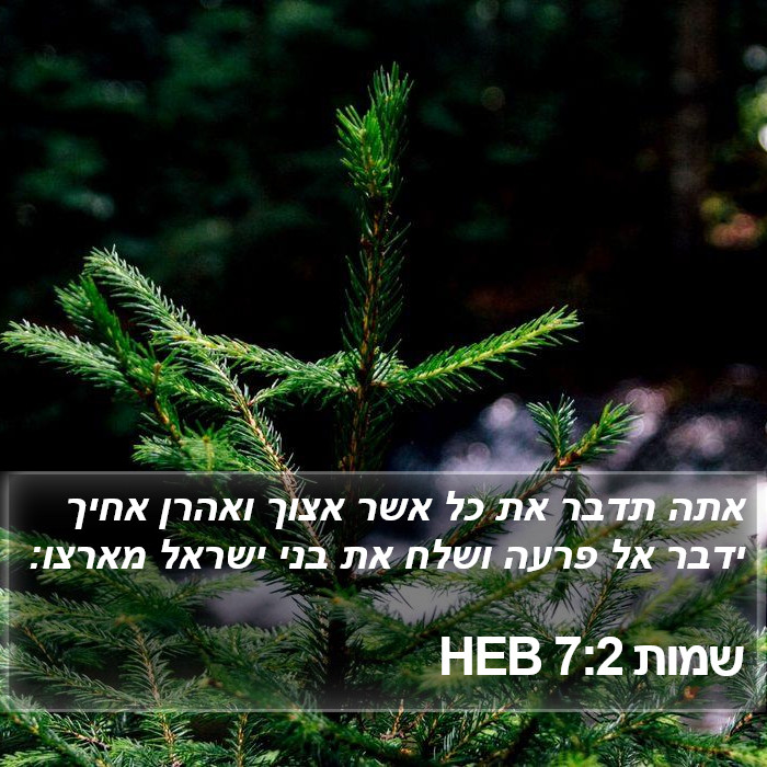 שמות 7:2 HEB Bible Study