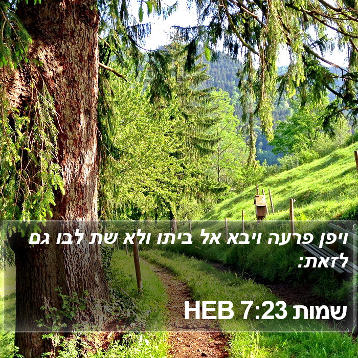 שמות 7:23 HEB Bible Study