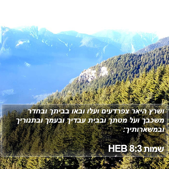 שמות 8:3 HEB Bible Study