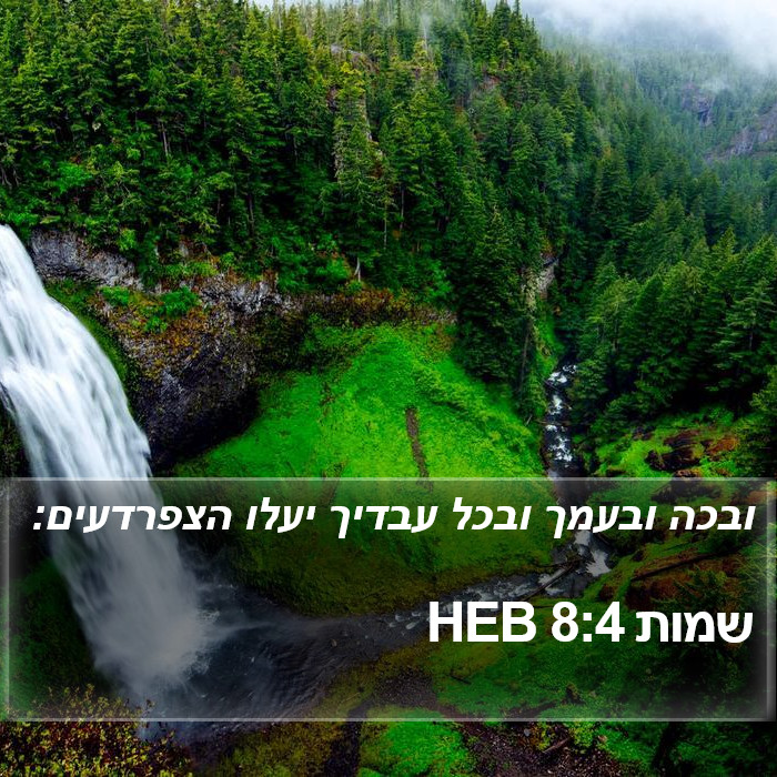 שמות 8:4 HEB Bible Study